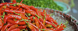 This Week's Red Hot Offers